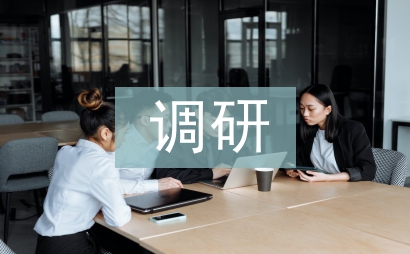 調研匯報稿