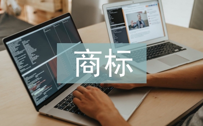 商標(biāo)調(diào)查報告