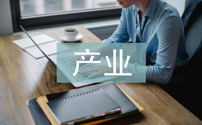 產(chǎn)業(yè)招商分局季度總結
