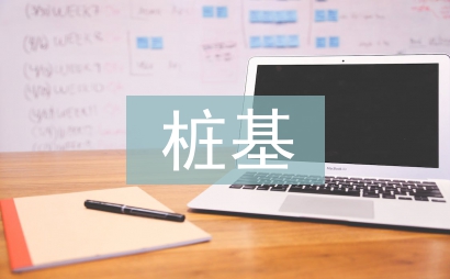 旋挖樁基施工項目總結