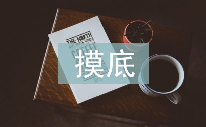摸底調(diào)查報告