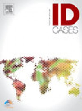 Idcases雜志
