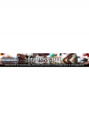 Frantice.net雜志