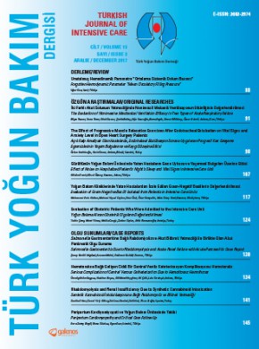 Turkish Journal Of Intensive Care-turk Yogun Bakim Dergisi雜志