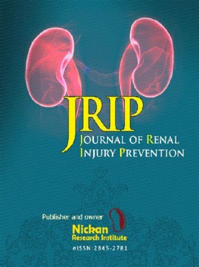 Journal Of Renal Injury Prevention雜志
