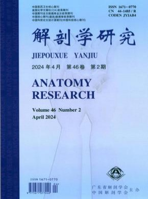 解剖學研究