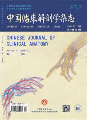 中國臨床解剖學