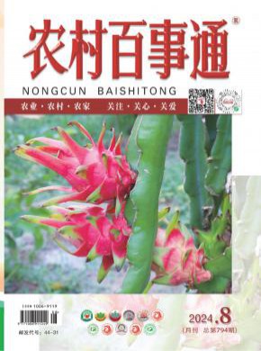 農村百事通