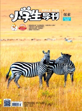 小學(xué)生導(dǎo)刊·中年級